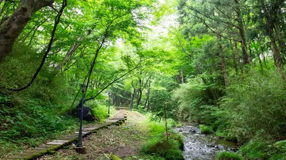 Hotel Floracion Nasu