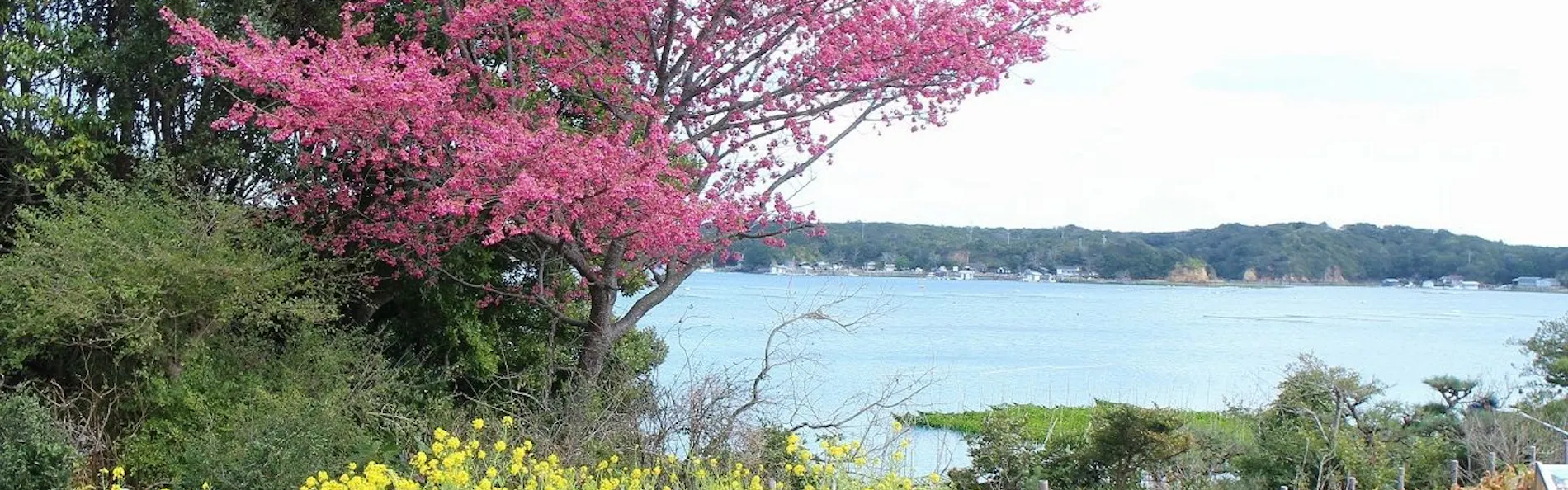 賢島宝生苑