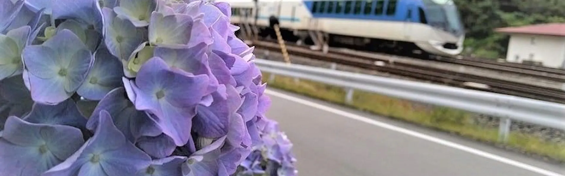 賢島宝生苑