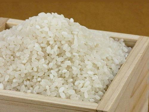 【2026年度産新米こしひかりのお土産付】新米コシヒカリの食べ比べができる朝食ブッフェ付き