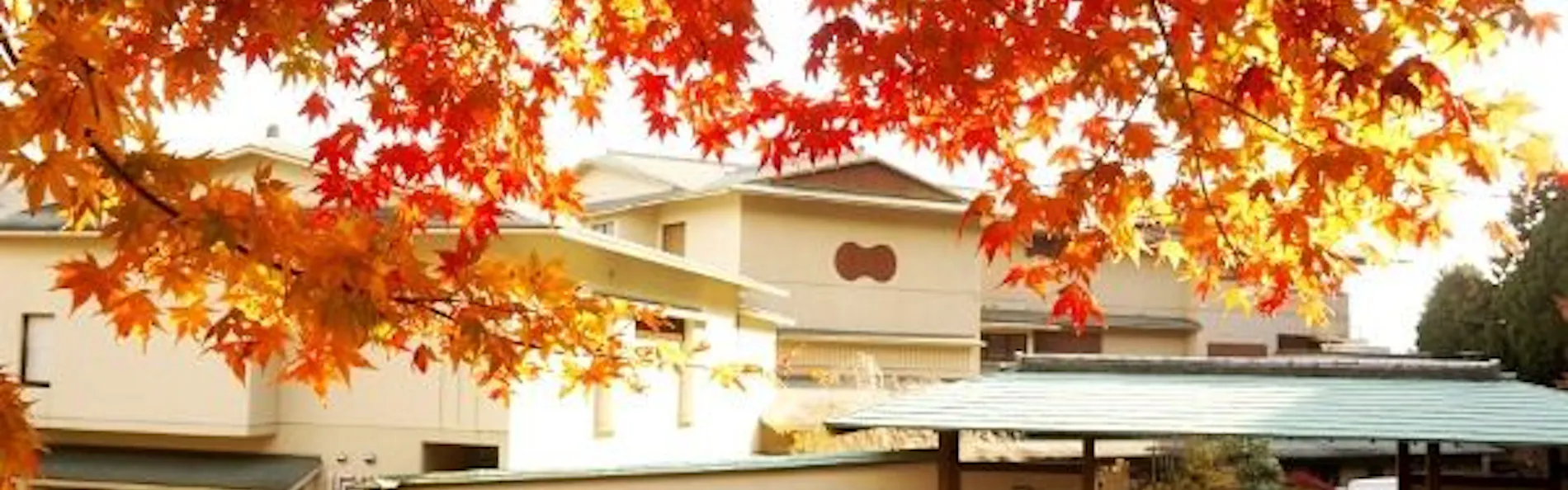 箱根芦ノ湖温泉 和心亭 豊月