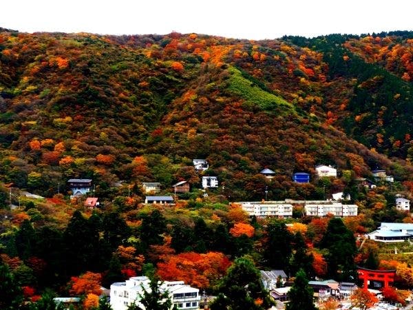 箱根芦ノ湖温泉　和心亭　豊月