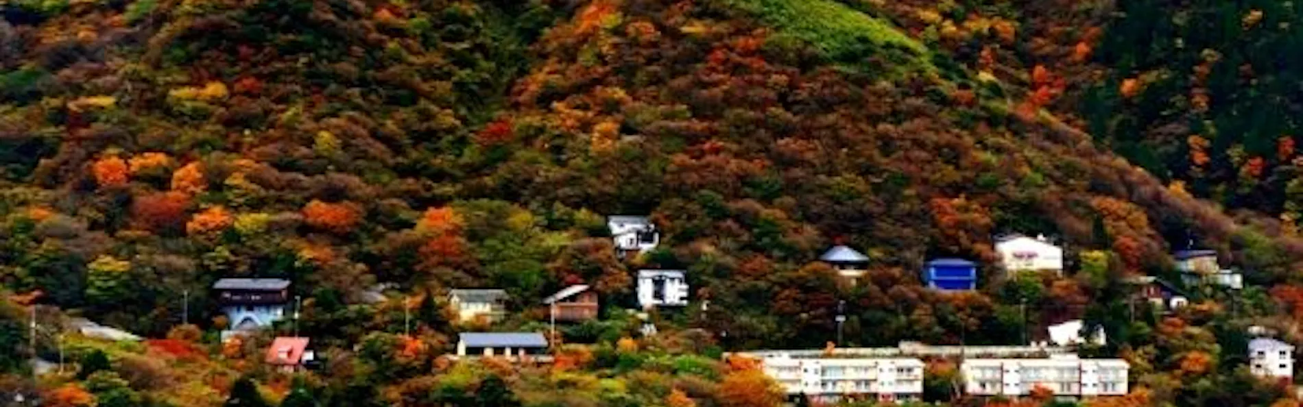 箱根芦ノ湖温泉 和心亭 豊月
