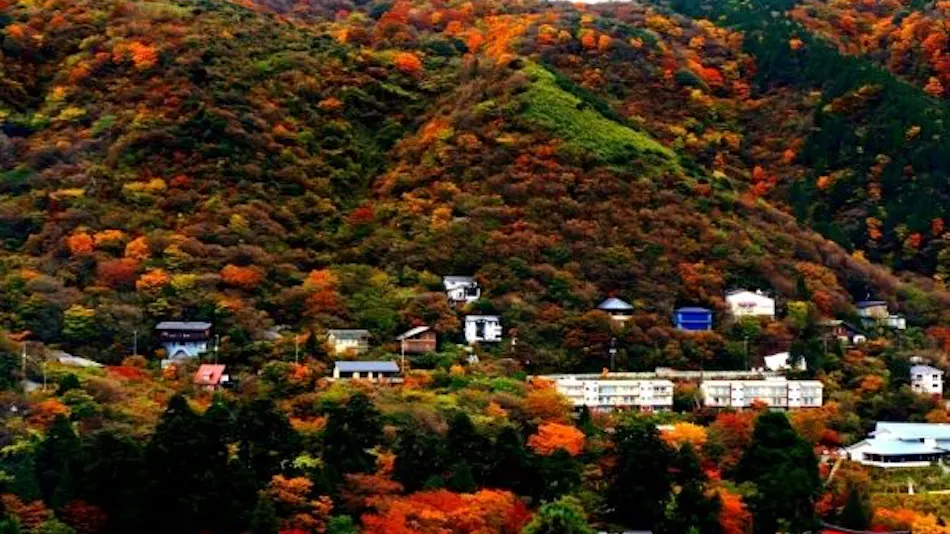 Hakone Ashinoko Onsen Washintei Hougetsu
