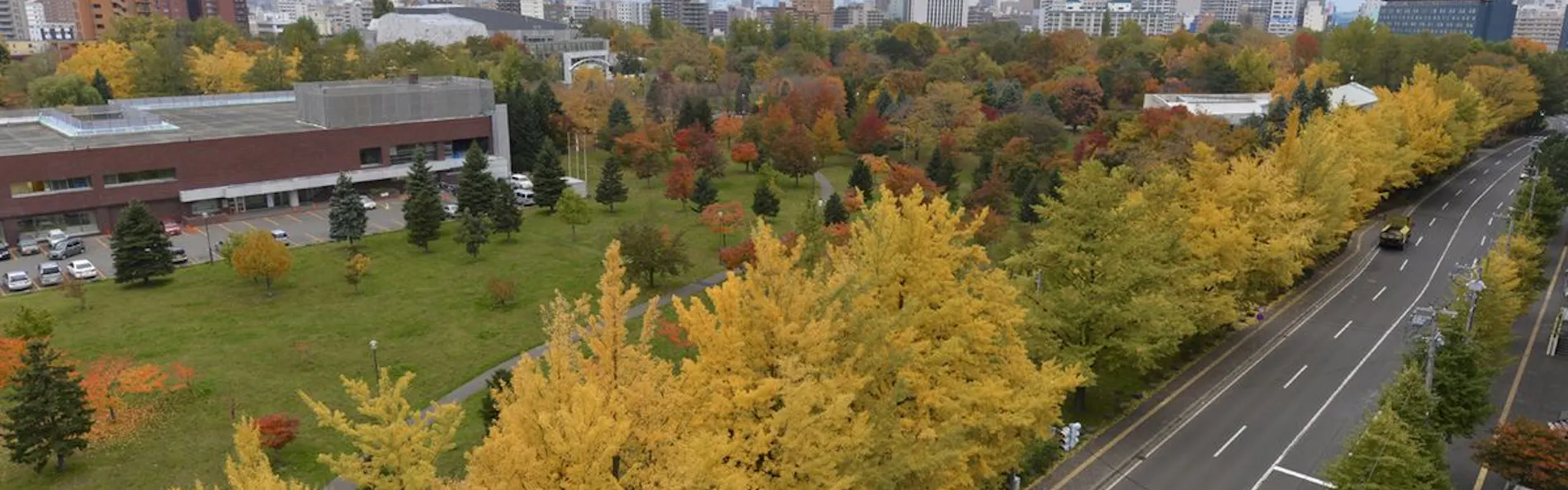 ホテルマイステイズ札幌中島公園
