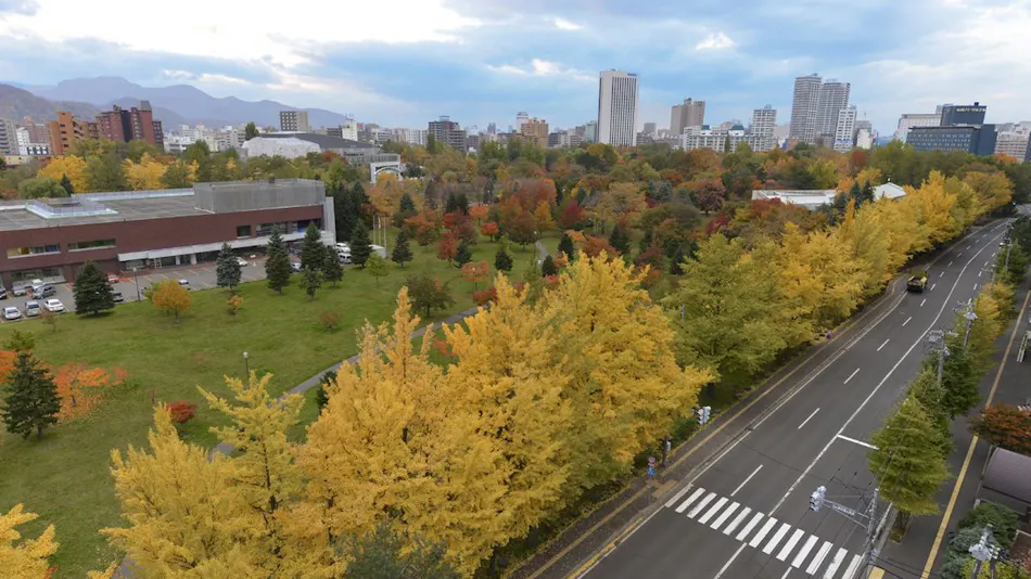 Hotel MyStays Sapporo Nakajima Park