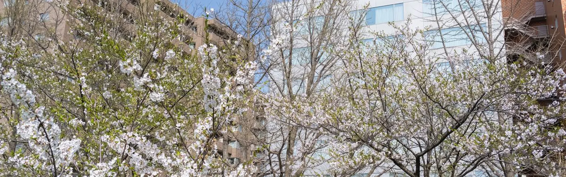 ホテルマイステイズ札幌中島公園