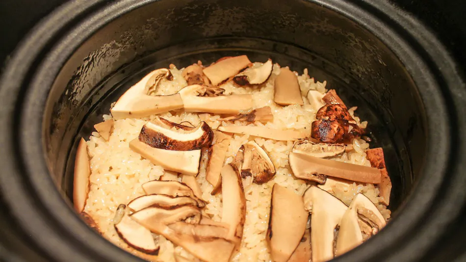 Kinugawa Onsen Sanraku