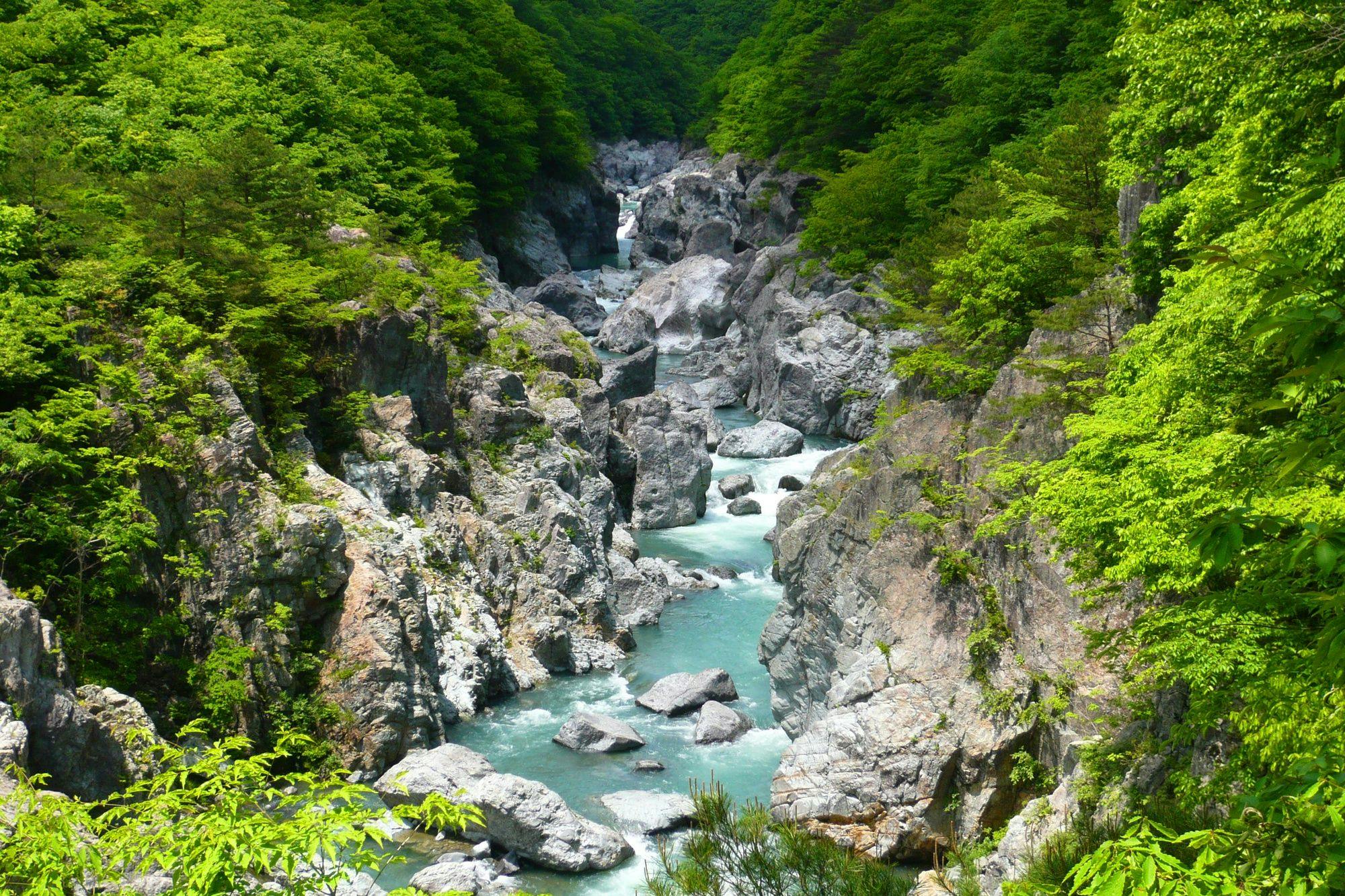鬼怒川温泉　山楽