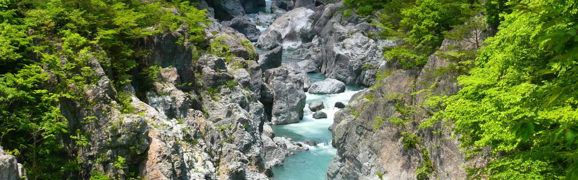 鬼怒川温泉 山楽