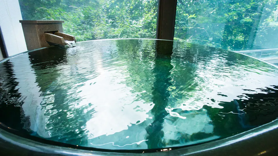 Kinugawa Onsen Sanraku