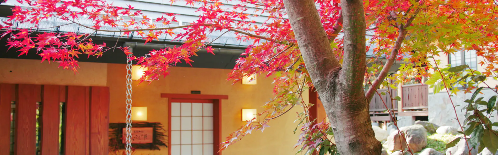 温泉山荘だいこんの花