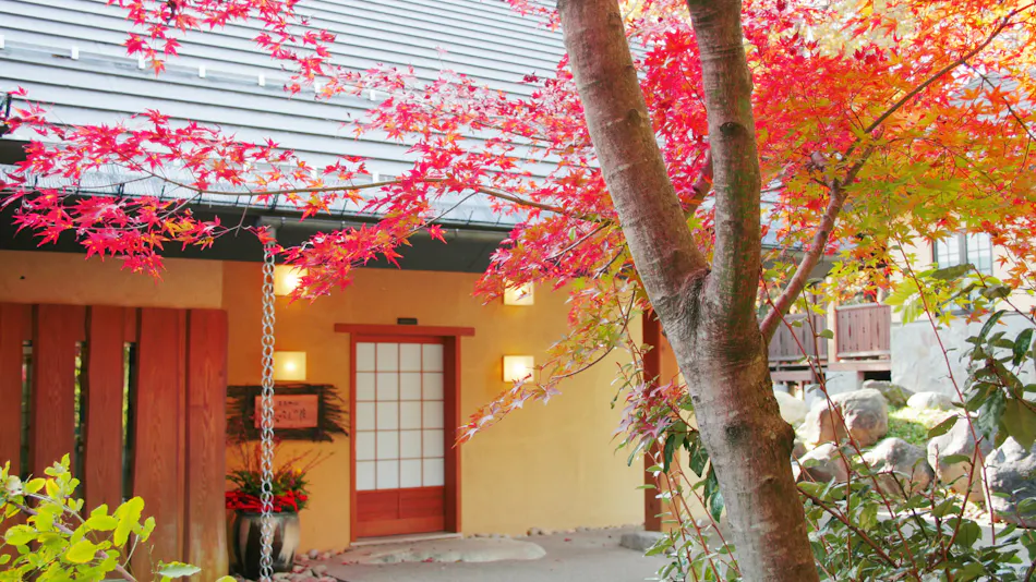 Onsen Sansou Daikon no Hana