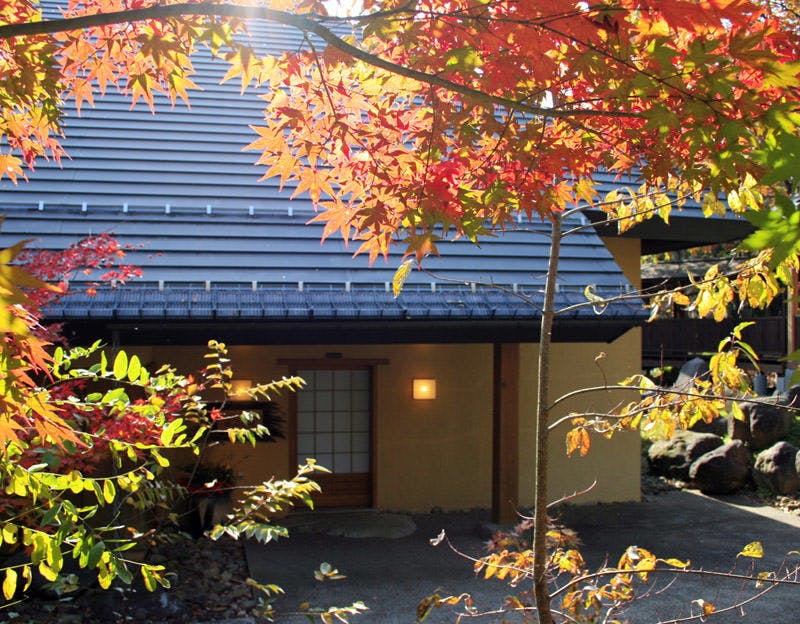 温泉山荘だいこんの花