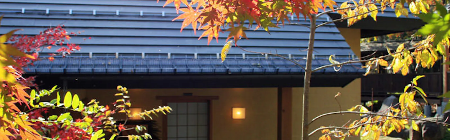 温泉山荘だいこんの花