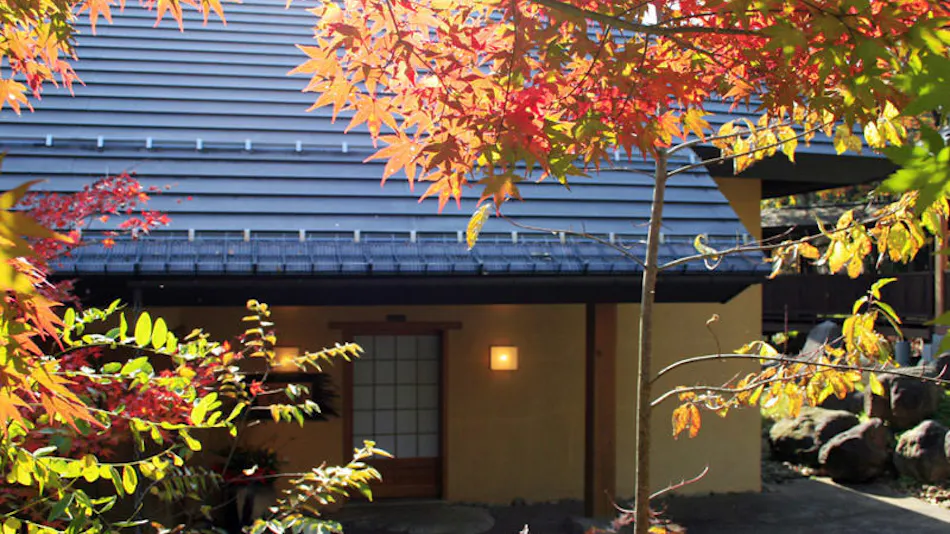 Onsen Sansou Daikon no Hana