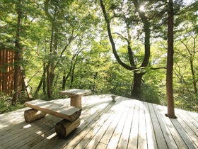 温泉山荘だいこんの花