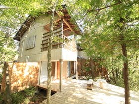 温泉山荘だいこんの花