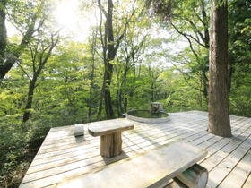 温泉山荘だいこんの花