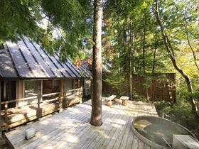 温泉山荘だいこんの花