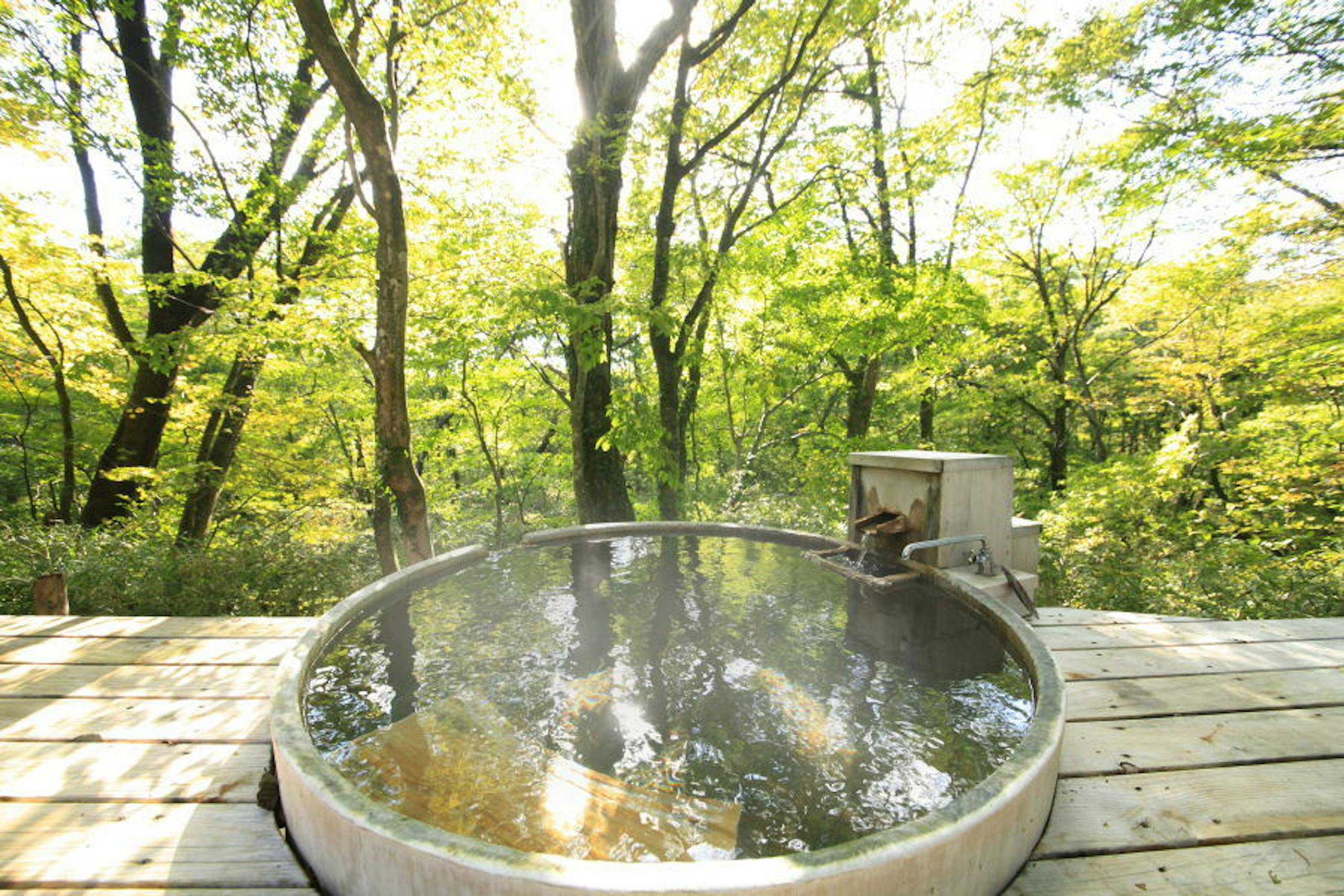 温泉山荘だいこんの花