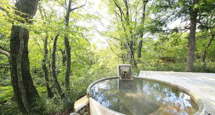 宮城蔵王キツネ村 露天風呂付き客室が人気の宿 5選 宿泊予約は 一休 Com 宮城蔵王キツネ村 露天風呂付き客室が人気の宿 5選 宿泊予約は 一休 Com