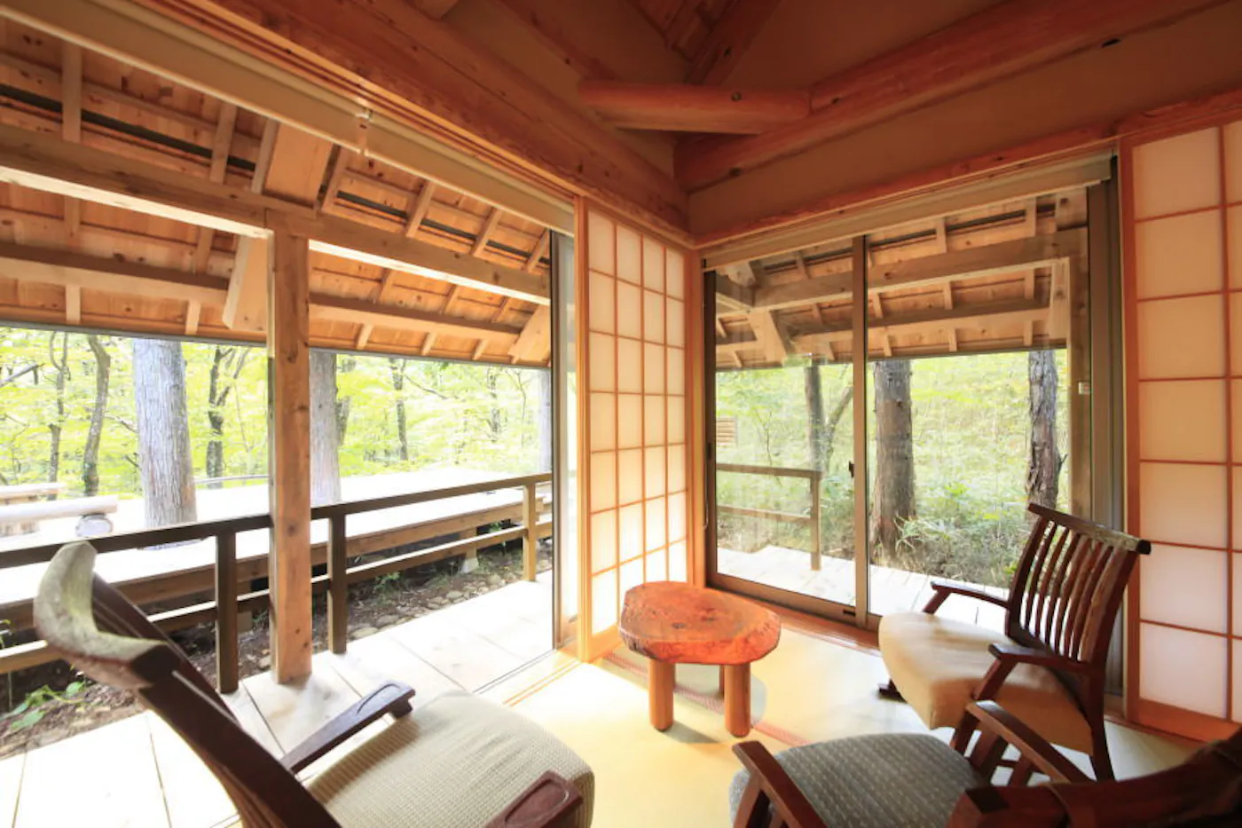 温泉山荘だいこんの花：縁側のある客室