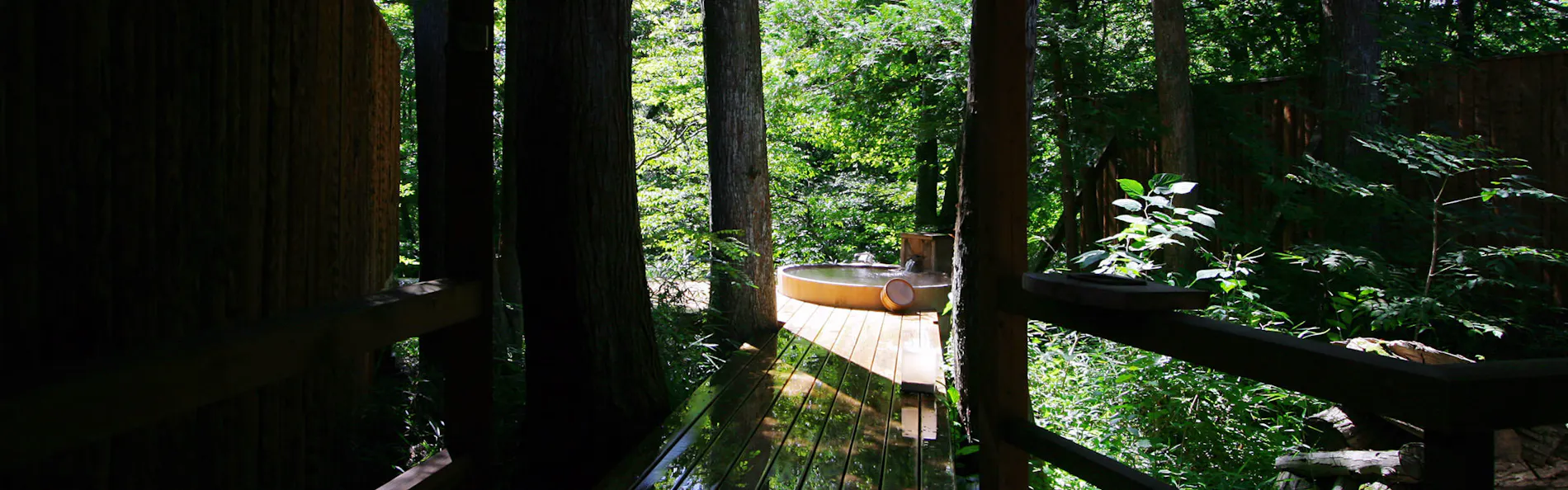 温泉山荘だいこんの花