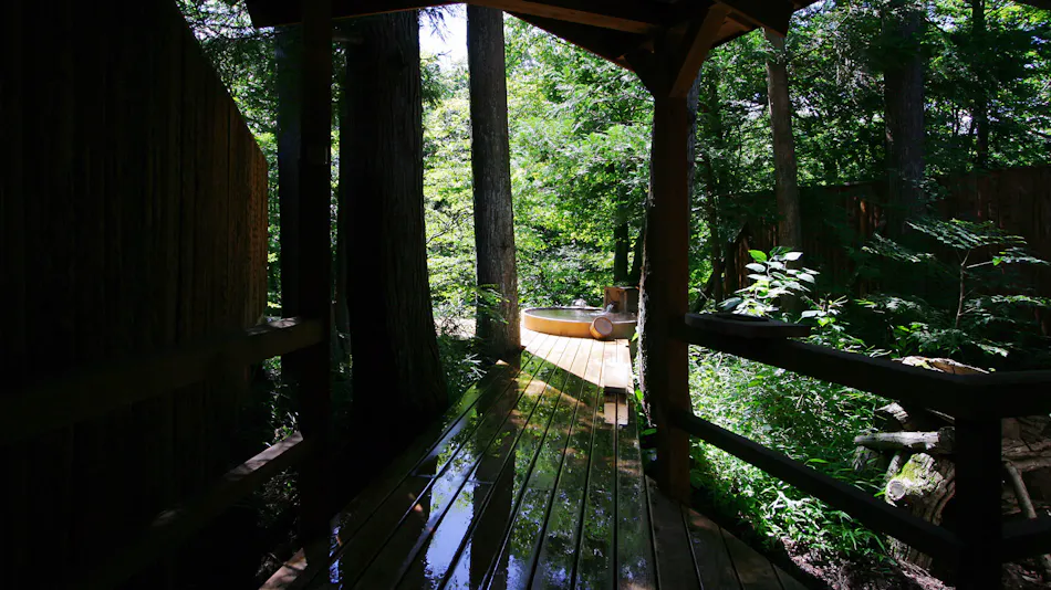 Onsen Sansou Daikon no Hana