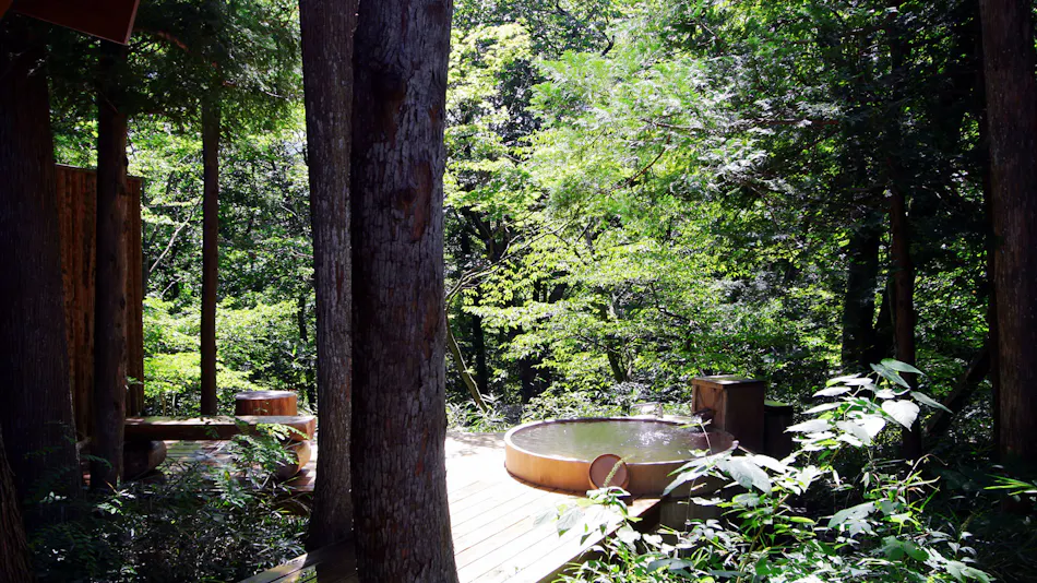 Onsen Sansou Daikon no Hana