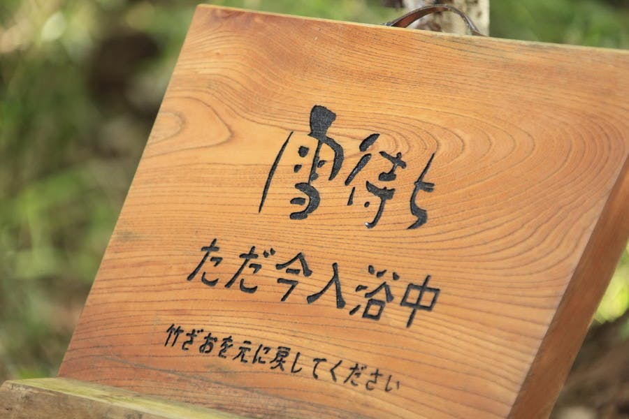 温泉山荘だいこんの花