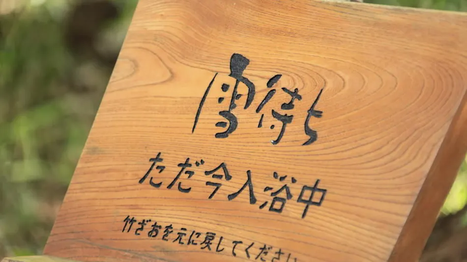 Onsen Sansou Daikon no Hana