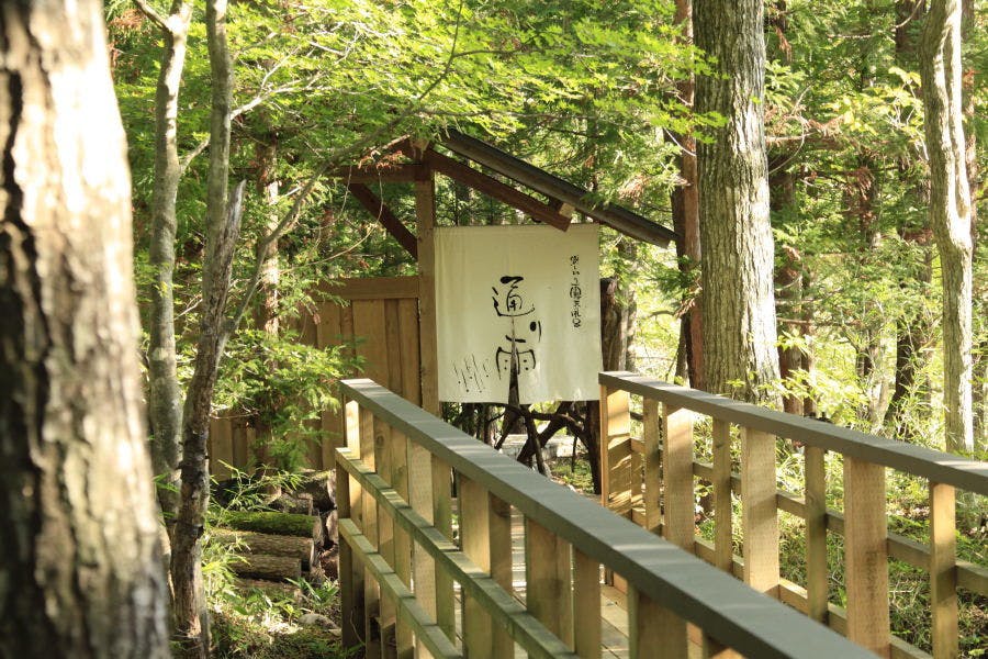 温泉山荘だいこんの花