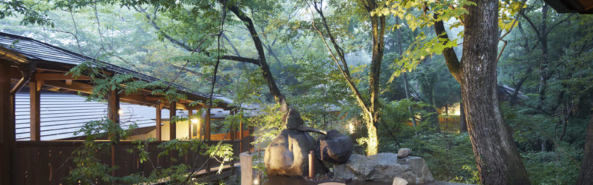 温泉山荘だいこんの花