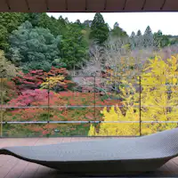 วิวจากระเบียง (ภาพใบไม้เปลี่ยนสี)