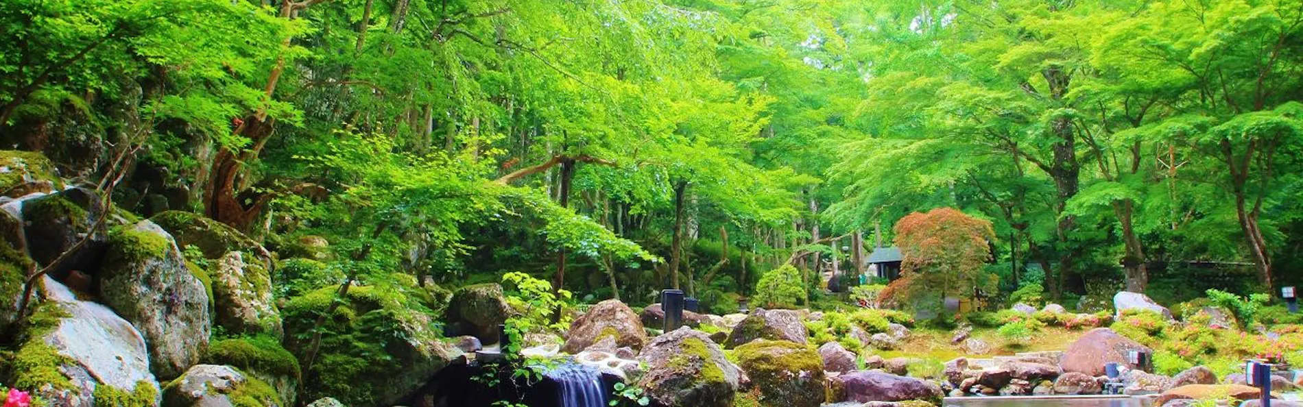 宙 SORA 渡月荘金龍