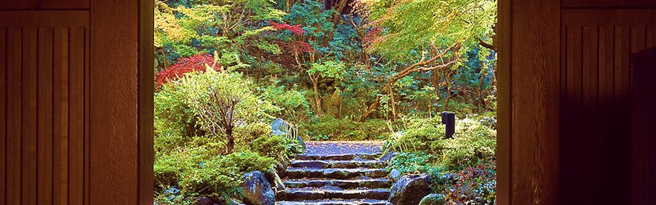 クチコミ 評判 宙 Sora 渡月荘金龍 一休 Com クチコミ 評判 宙 Sora 渡月荘金龍 一休 Com