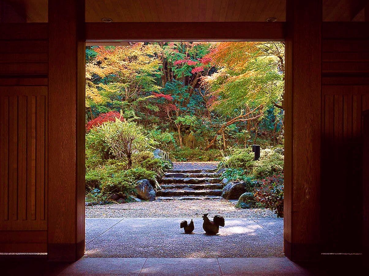 ทางเข้า (ใบเมเปิ้ล)