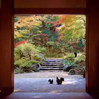 ทางเข้า (ใบเมเปิ้ล)