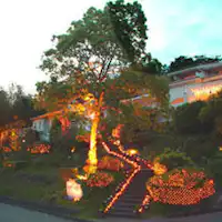 リゾート地のわくわく感がいたるところに!