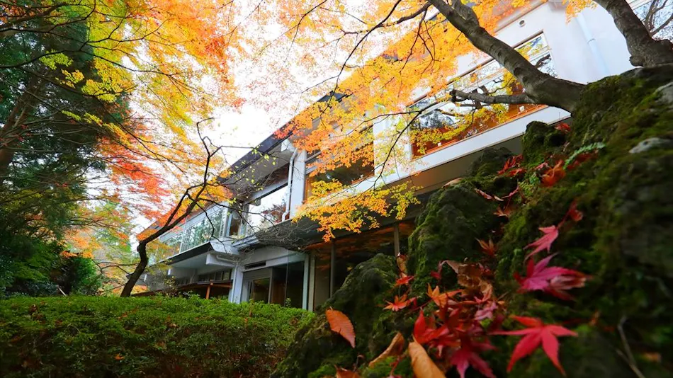Hotel New Mitoya