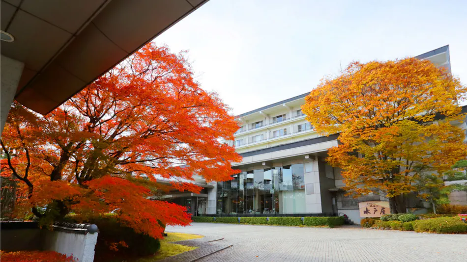 Hotel New Mitoya