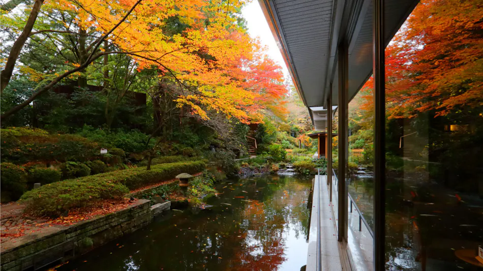Hotel New Mitoya
