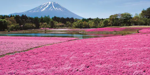 庭園と感動の宿 富士山温泉 ホテル鐘山苑