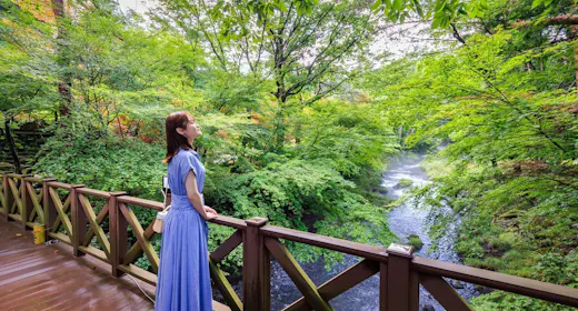 【おひとり様限定】優雅な一人旅プラン・山梨ワインラウンジaccess