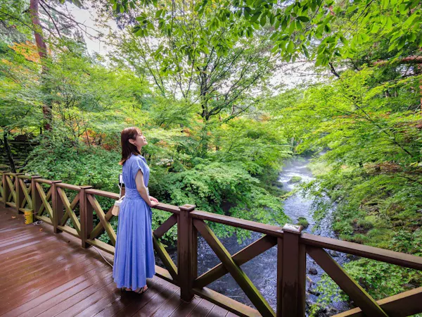 【おひとり様限定】優雅な一人旅プラン・山梨ワインラウンジaccess
