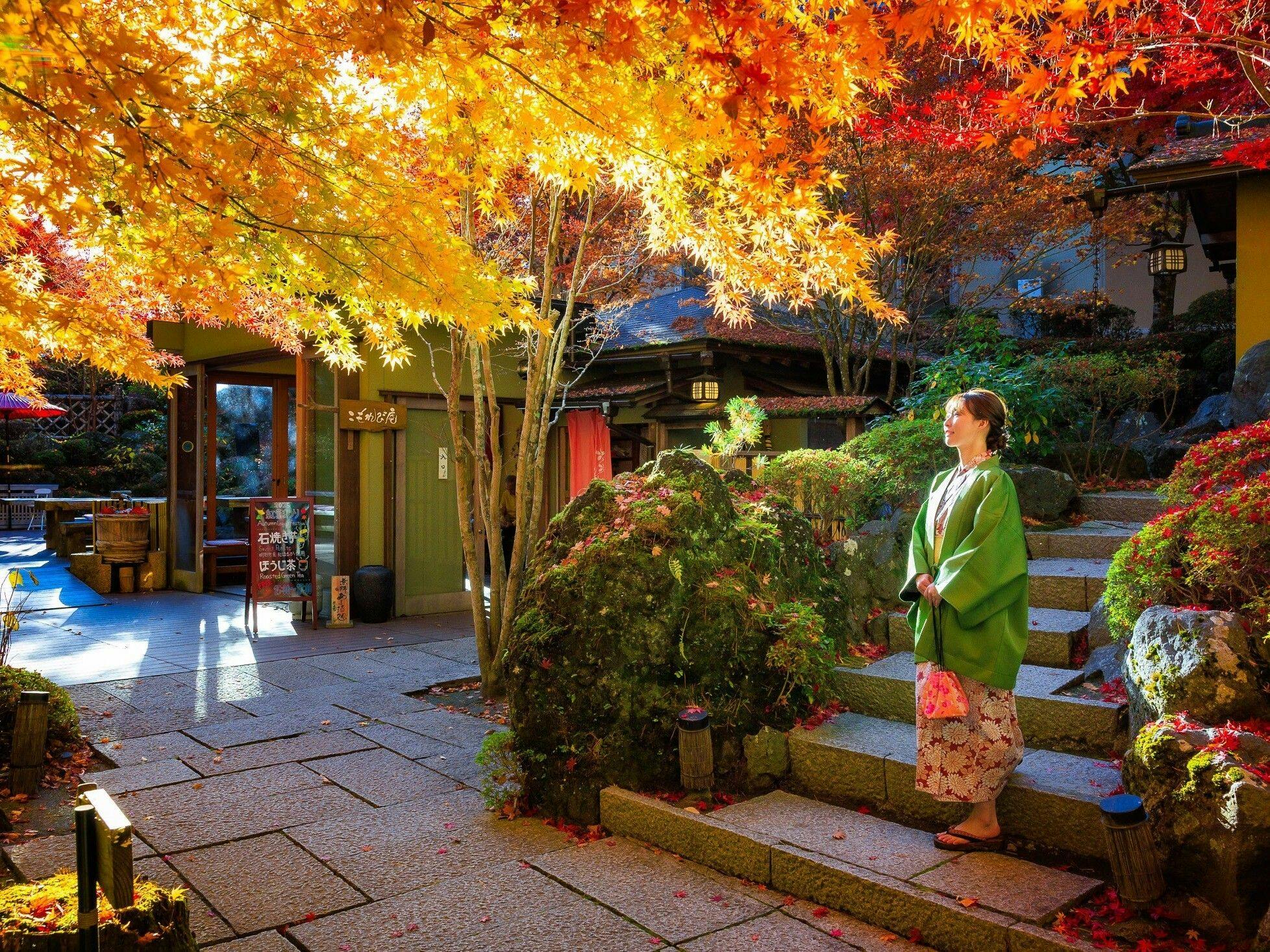 【10月25日～11月15日】鐘山苑・紅葉まつり！日本の秋を楽しむプラン（ナイトラウンジ＆色浴衣付）