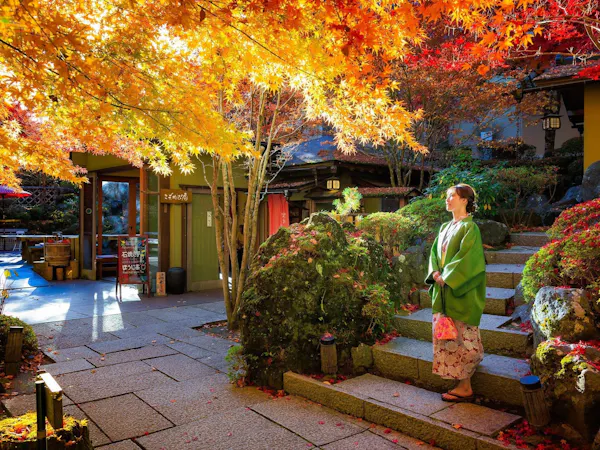 【10月25日~11月15日】鐘山苑・紅葉まつり!日本の秋を楽しむプラン(ナイトラウンジ&色浴衣付)