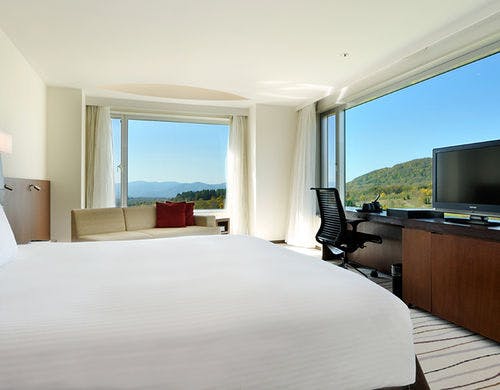 【夏】デラックスパノラマルーム　キング