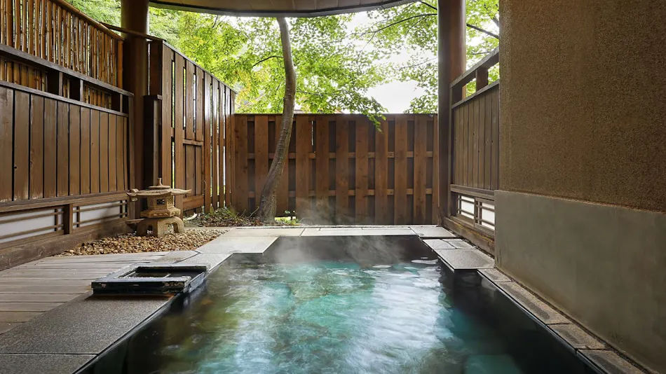 Shima Onsen Shikanosakino-yu Tsuruy